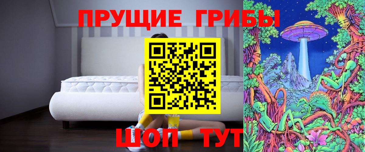 Псилоцибиновые грибы MAGIC MUSHROOMS  Псилоцибиновые грибы MAGIC MUSHROOMS  Вход с VPN  Кировск 